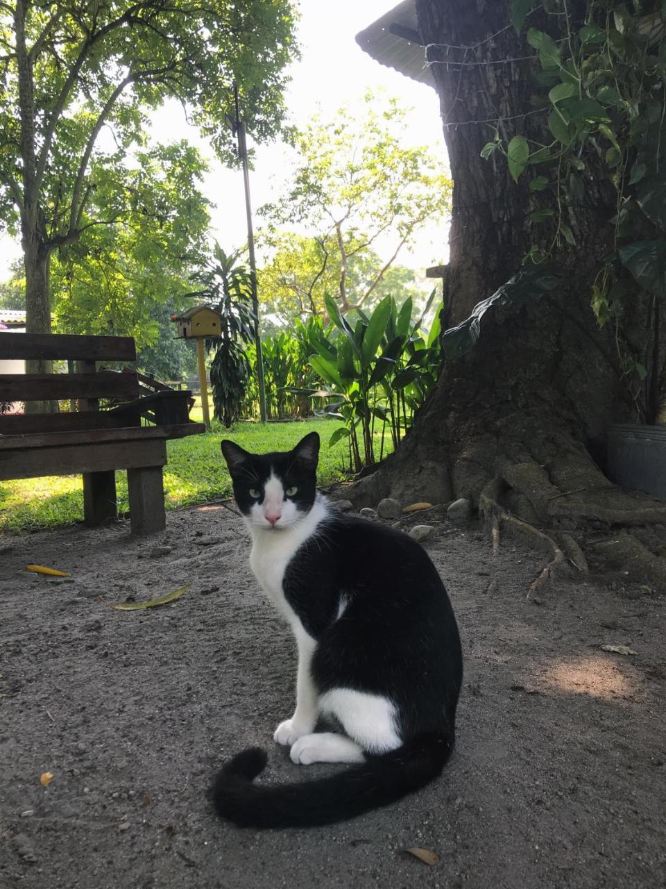 Waka Hotel Rural オンダ エクステリア 写真